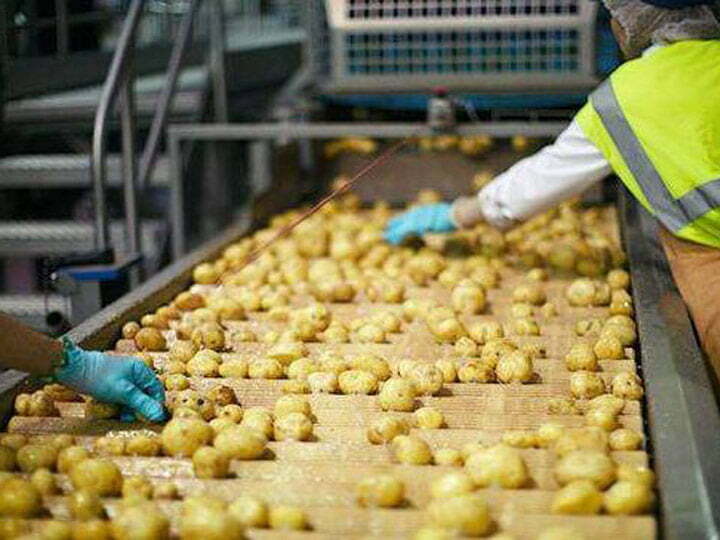 Why need to blanch potatoes in production of chips and fries