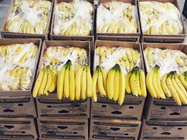 Does the Ecuador banana industry face challenges?