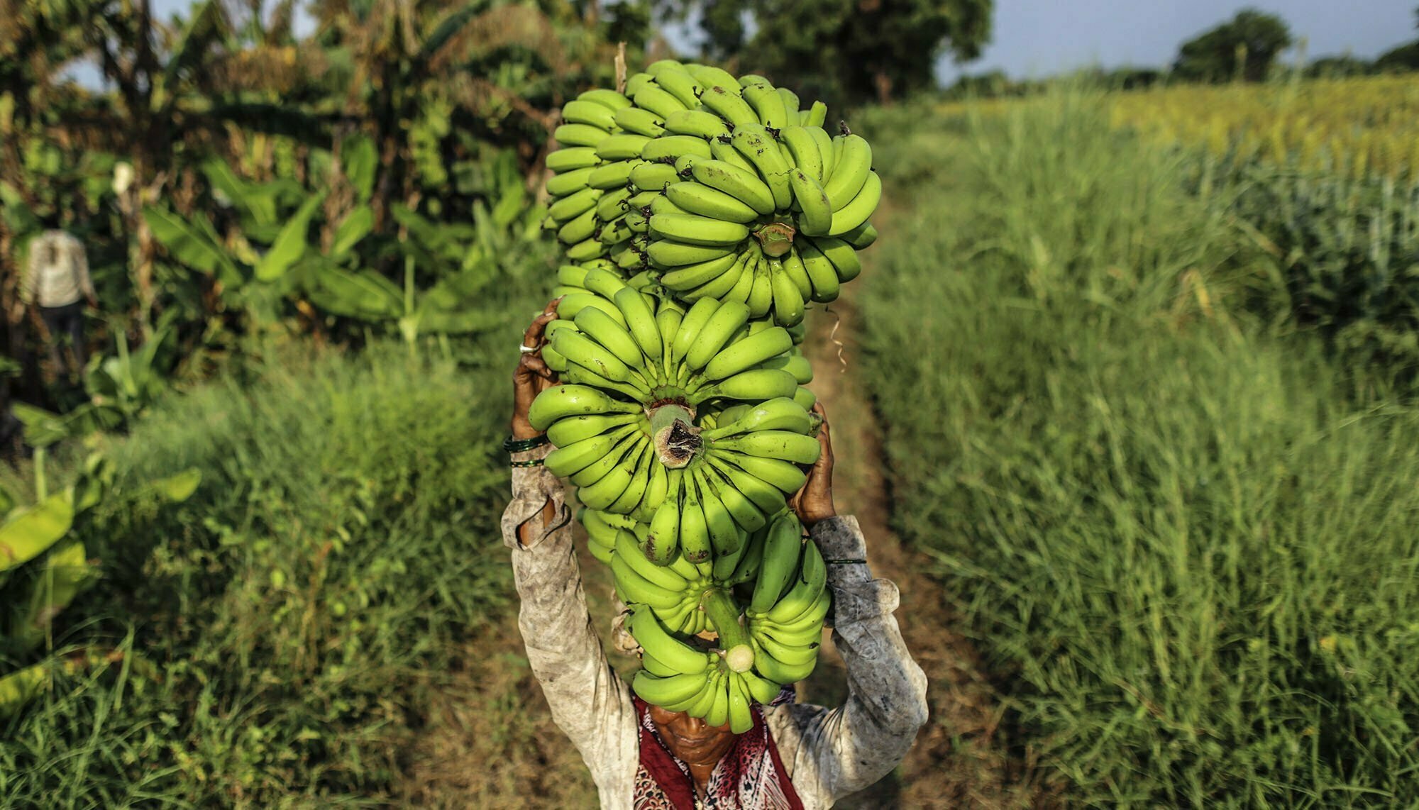 BANANAS