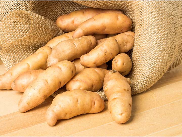 fingerling potatoes