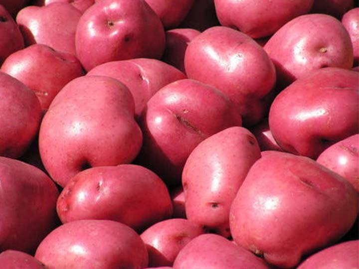 red potatoes