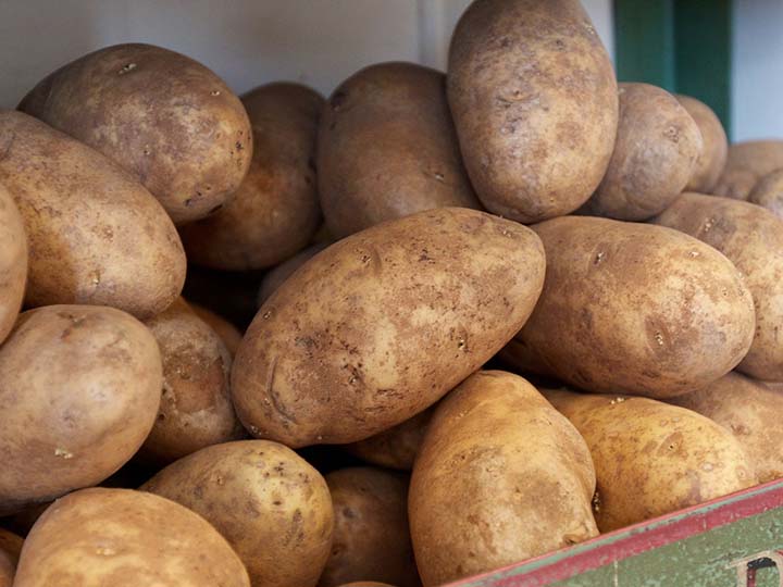russet potatoes