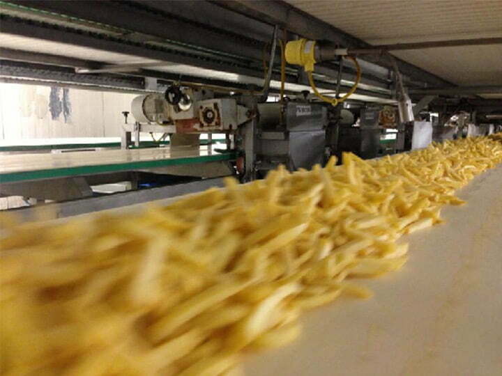 Fully automatic french fries production line running in Turkey