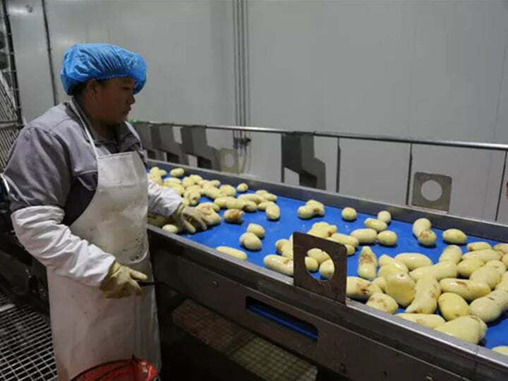 french fries manufacturing process