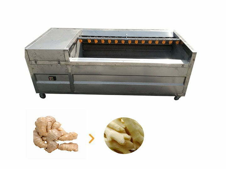 Automatic brush type ginger washing and peeling machine