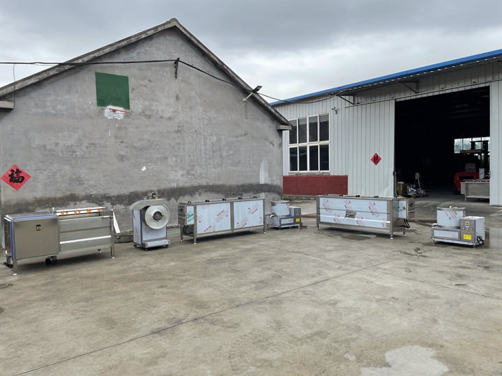 complete set of frozen french fries processing machines