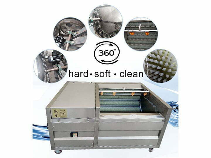 potato peeling machine structure details
