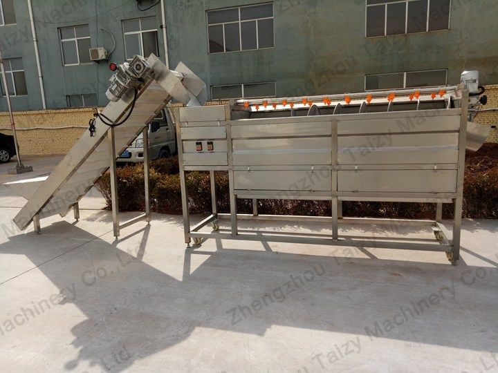 potato washing and peeling machine