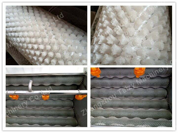 brushes and rollers of taro peeler machine
