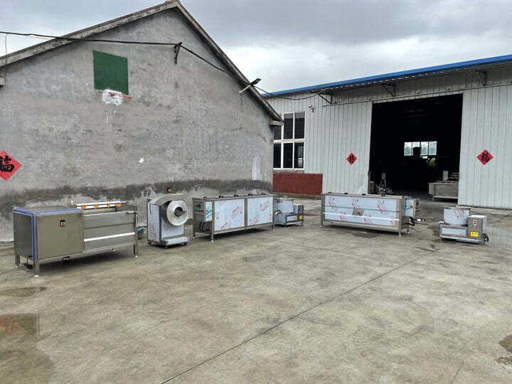 Semi-auto Frozen fries plant exported to Democratic Congo machine