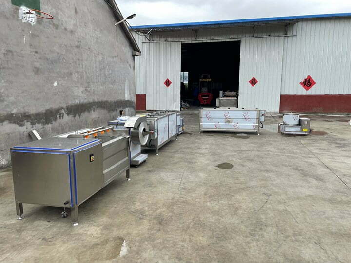 frozen french fries plant for Congo