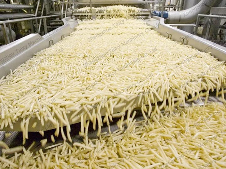 large frozen fries plant